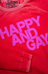 HAPPY AND GAY RAGLAN - HOTRED RABBIT